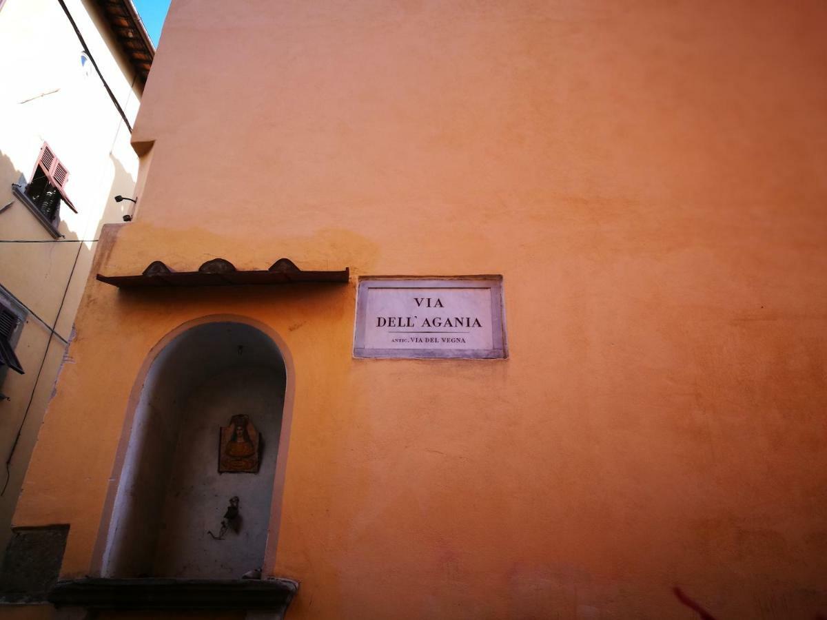 La Casina Dell'Agania Lejlighed Arezzo Eksteriør billede